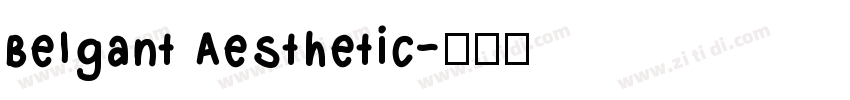 Belgant Aesthetic字体转换